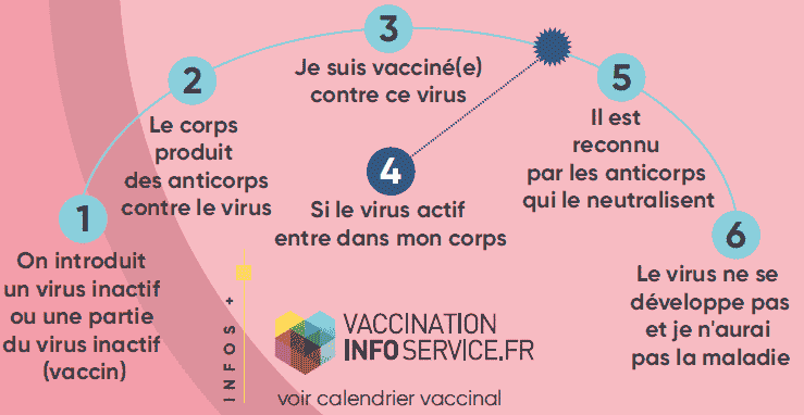 Extrait de l’exposition interactive Prendre soin de soi et Prévenir les risques de cancer. ©Centre Léon Bérard & Comité du Rhône de la Ligue contre le Cancer.