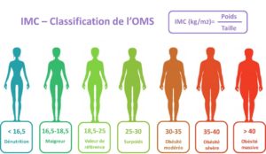Indice de Masse Corporelle - Classification de l'OMS