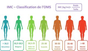 Figure 1. IMC – Classification de l’OMS. Infographie réalisée par nos soins. ©Centre Léon Bérard, 2020