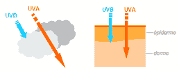 Figure : Les rayonnements UV arrivant à la surface de la terre, à travers les nuages et à travers la peau. Source : INCa, Fiche repère Rayonnements UV et risques de cancer