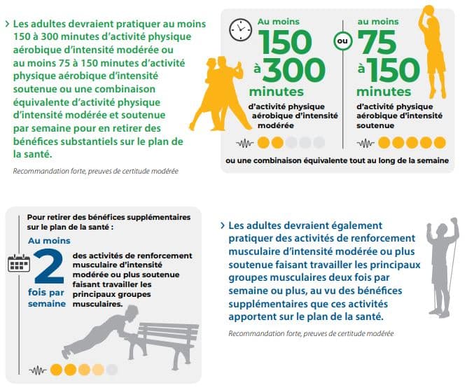 Recommandations de l'Organisation Mondiale de la Santé pour la pratique d'activité physique chez les adultes