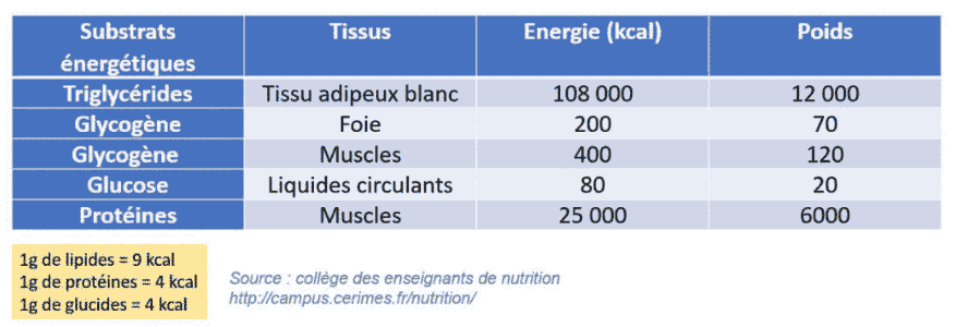 jeune et cancer 2