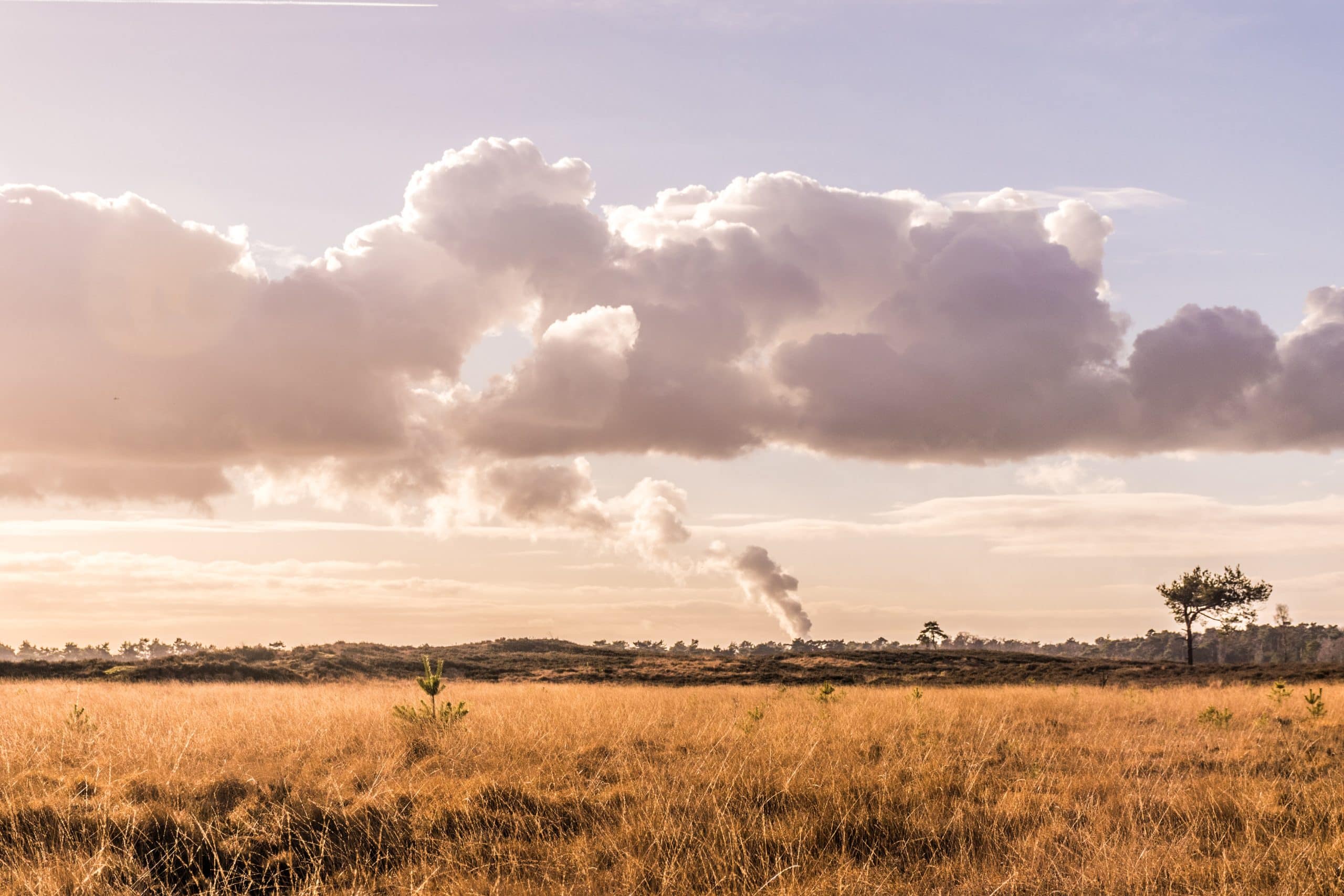 Quiz pollution de l'air