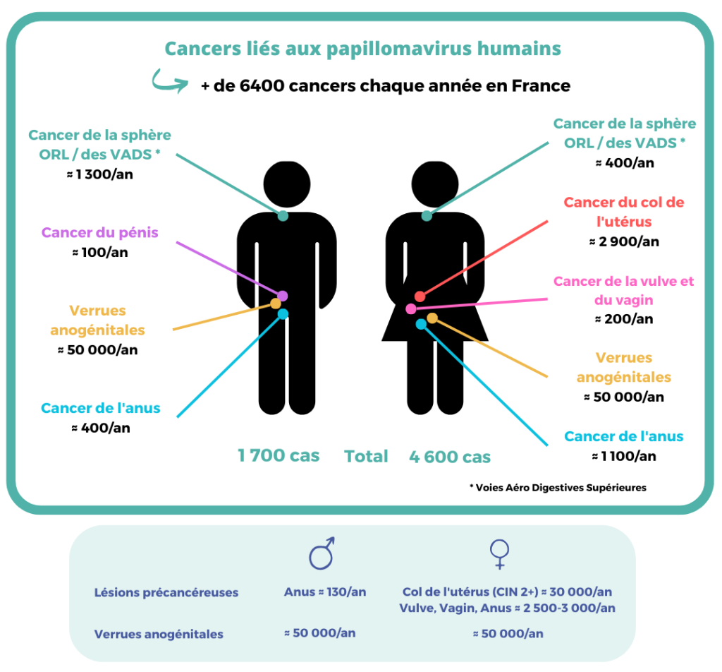 Epidémiologie cancers liés aux HPV