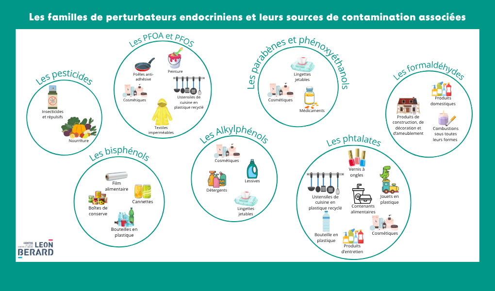 Familles de PE et sources de contamination associées. Infographie du Centre Léon Bérard, données de l’INCa, 2023