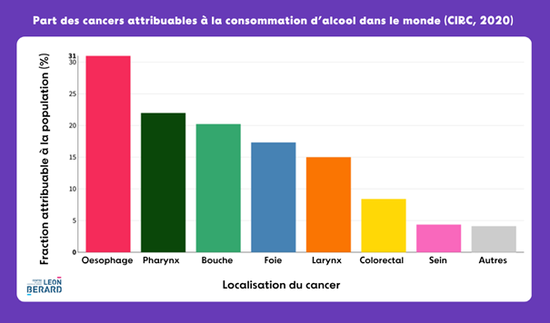 Part des cancers attribuables à la consommation d’alcool dans le monde en 2020. Source CIRC (Globocan)