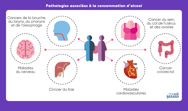 Pathologies associées à la consommation d’alcool - Exposition « Prendre soin de soi et prévenir les risques de cancer » du Centre Léon Bérard