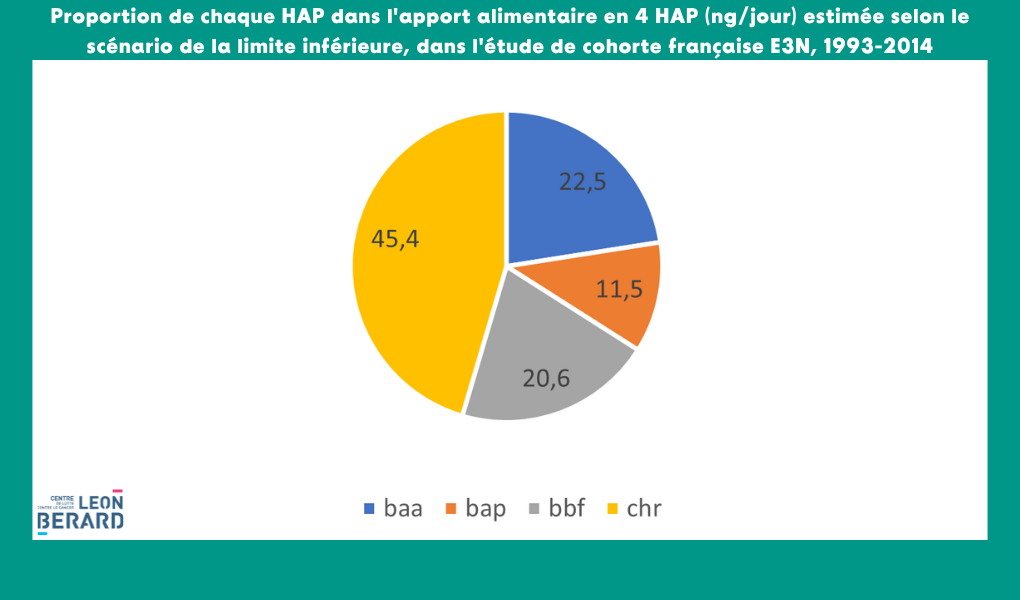 Figure 3. Proportion (%) de chaque HAP dans l'apport alimentaire en 4 HAP (en ng par jour) estimée selon le scénario de la limite inférieure, dans l'étude de cohorte française E3N, 1993-2014.